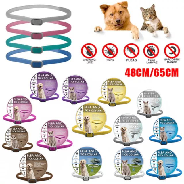 Adjustable Pet Anti Flea Tick Neck Collar for Dog Cat Kitten 8 Months Protection