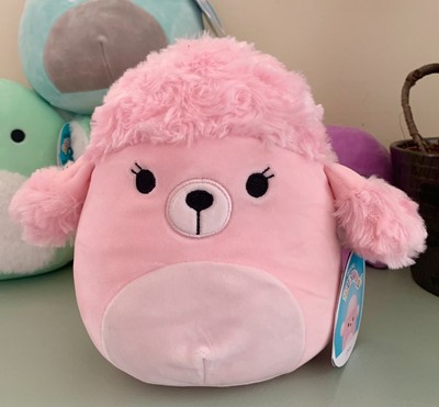 chloe the squishmallow
