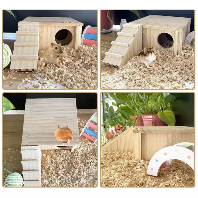 Maison de Hamster en bois, cabane en bois pour souris, Chinchilla, Hamster