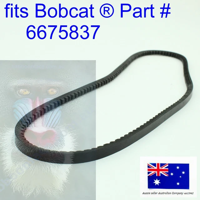 FOR BOBCAT ALTERNATOR Belt 6675837 751 753 763 773 S150 S160 S175 S185