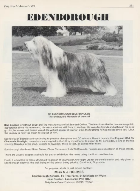 Bearded Collie Dog World 1983 Breed Kennel Advert Print Page Edenborough Kennel