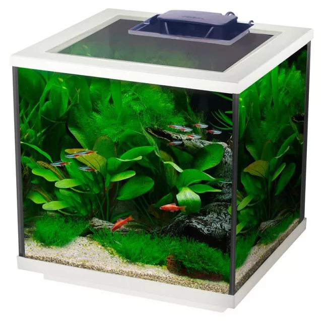 Interpet Aqua Cube 28L Aquarium LED Lighting Filter White Nano Small Fish Tank