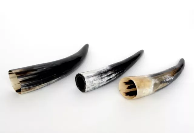 1 Beber Cuerno de Vaca Ganado Auténtico Pulido 20-30 CM Decorativo Stierhorn