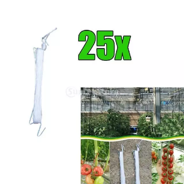 25x 10M Garden Tomato Hook Vegetable Clamps For Garden Farms Planting Tomato
