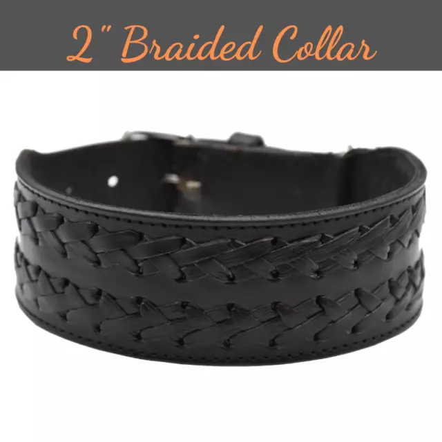 Genuine Leather Dog Collar Braided 2" Wide Handcrafted For Large Dogs Heavy Duty