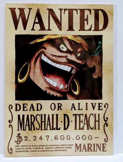 ONE PIECE WANTED POSTER GOL D ROGER　NEWS OFFICIAL MUGIWARA STORE