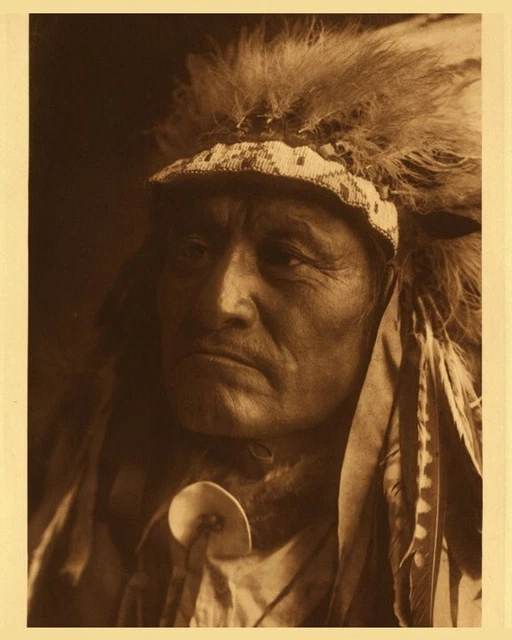 chief Crazy Crow Indian T shirt Transfers Iron On 8 x10 Lite/ Dark Fabric
