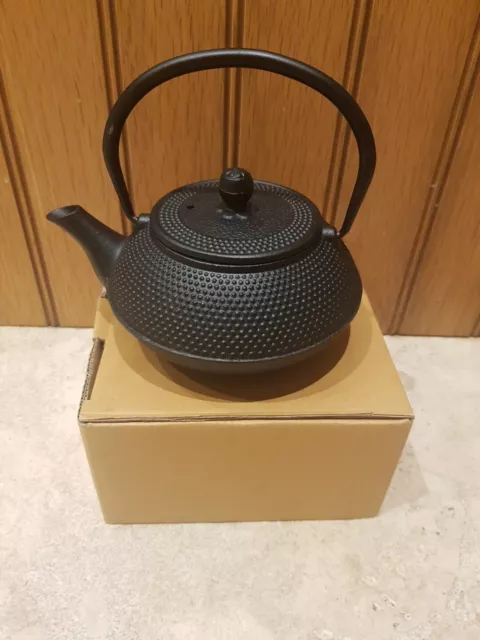 Cast Iron Tea Pot Brand New In Box