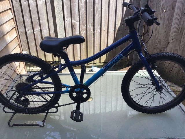 Pinnacle clearance ash bike