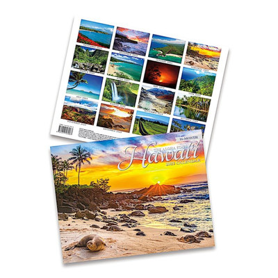 HAWAII ALOHA STATE Hawaiian 2023 16 Month Calendar November 2022