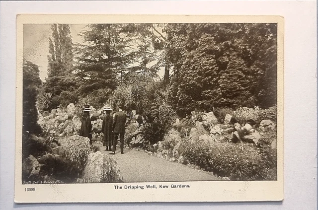 Kew Gardens Postkarte C1910 tropfen gut edwardianische Damen London Vororte