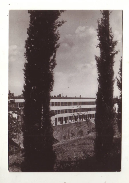cartoline Vittorio Veneto(Treviso),collegio Vesc. Dante Alighieri