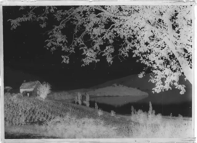 Antique photo glass plate negative 6x9 cm vineyard lake Culoz, flat glass 2
