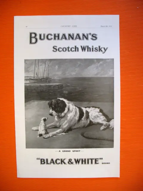 Buchanan's Black & White Whisky Chien Press Advertisement Newfoundland Ad 1912