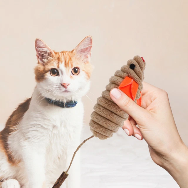 Juguete de menta de gato juguete para mascotas juguete para mascar maderas