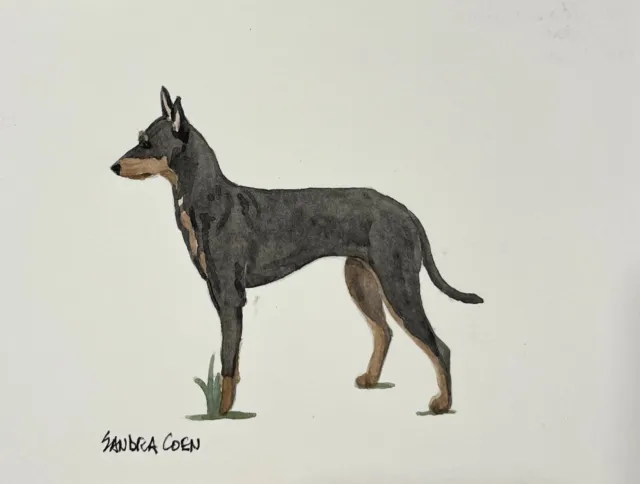 Toy Manchester Terrier Original Watercolor by  Sandra Coen Standing in Grass