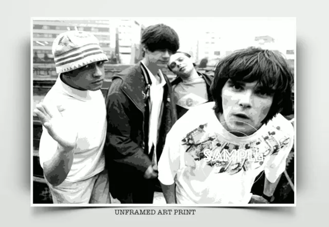 Stone Roses Poster Print Unframed Fine Art Stone Roses Wall Art Poster Print