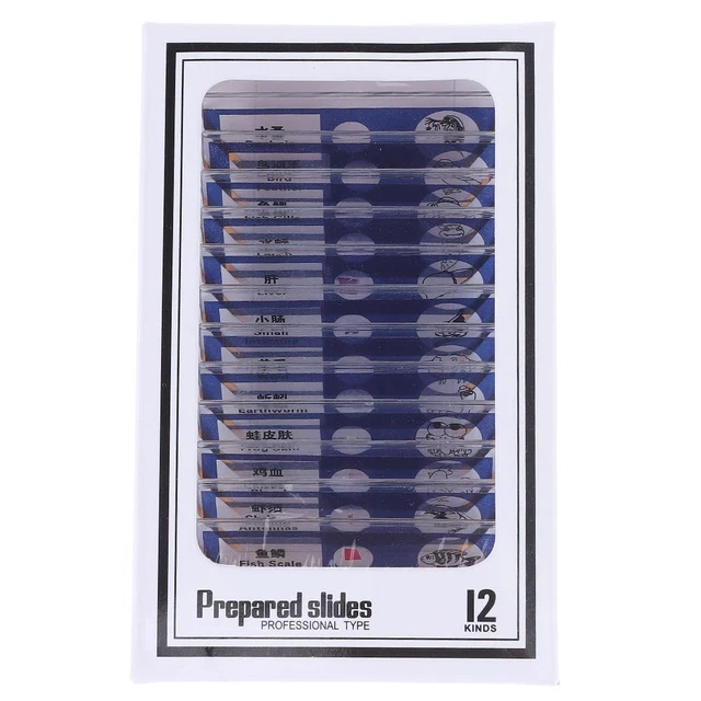 Plastic Microscope Sample Prepared Slides Microscope Slides  Kids