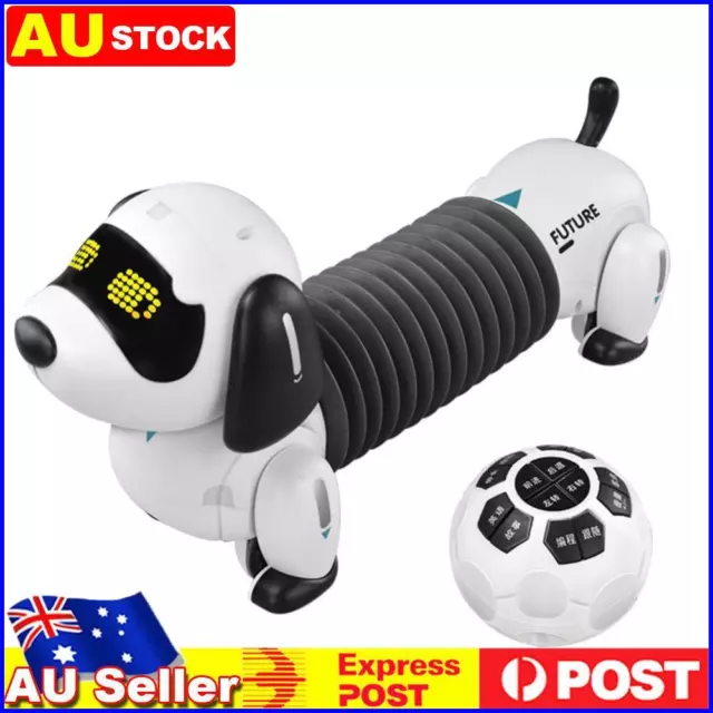 Walking Dancing Robot Dog Electronic Remote Control Dachshund Puppy Toys