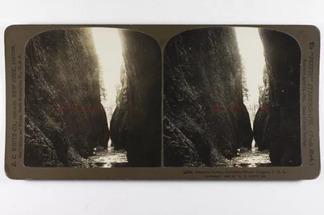 US USA Oneonta Gorge Columbia River Oregon 1905 Foto Stereo Vintage