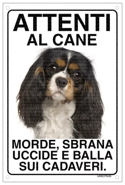 CAVALIER KING nero Attenti al cane morde sbrana uccide e balla sui cadaveri15x20