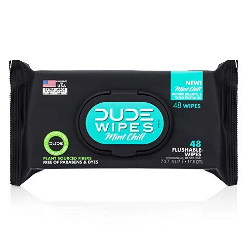 Lot of 2 - Dude Wipes Mint Chill Flushable Wipes (96 Count total)