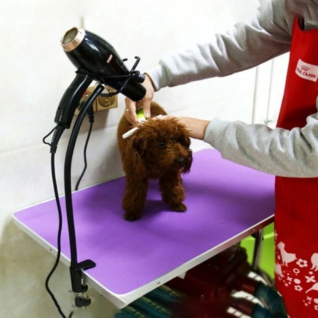 Accesorios para mascotas Secado Fijador Marco Secador de Pelo Soporte Secador de Pelo