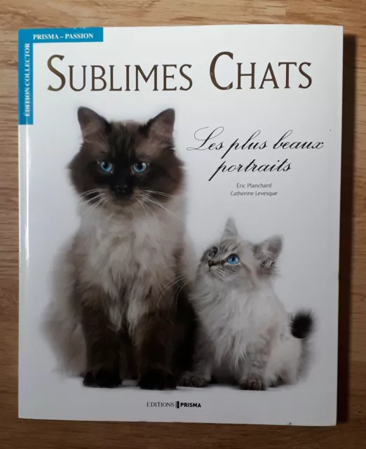 Sublimes chats Les plus beaux portraits