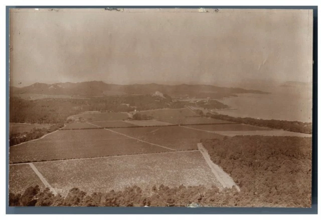 France, Vue de l&#039;Ile de Porquerolles  Vintage silver print  Tirage argent