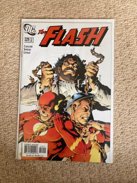 The Flash Vol.2 #229 Joey Cavalieri (Spider-Man, Huntress, Black Canary) DC 2006