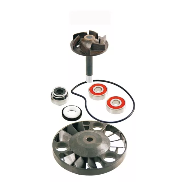 Turbine Overhaul Kit Water Pump Piaggio 125 Hexagon GTX 11 2000-2000