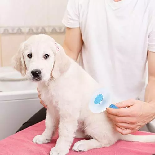 Self Cleaning Slicker Brush, Dog Cat Bunny Pet Grooming Shedding Brush 2