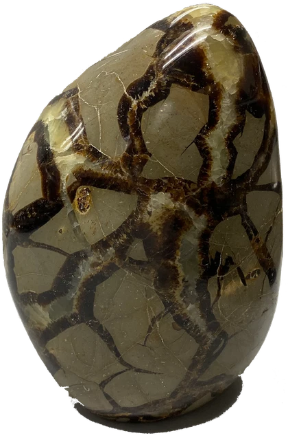 septarian freeform polished natural rock gemstone geode display crystal