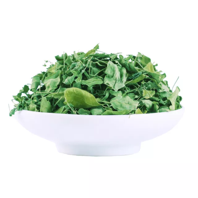 Moringa Oleifera Leaf Extract Powder (10:1) Pure Antioxidant & Energy Free Ship