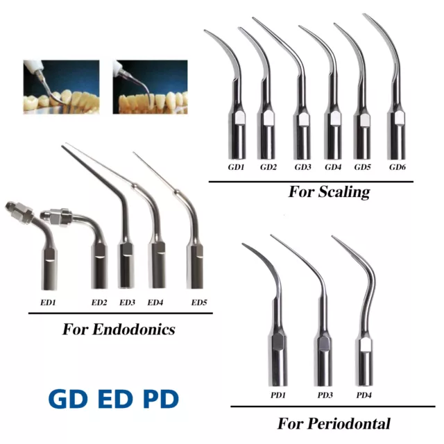 Dental scaler tip ultrasonic scaling perio endo Tips fit DTE SATELEC Scaler