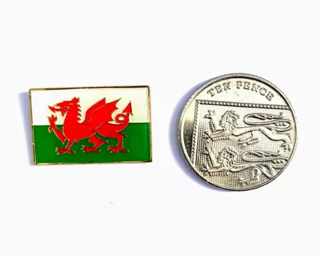 Welsh, Wales, Daffodil, Miner, Rugby, Flag, Lady, 3 Feathers pin badges badge