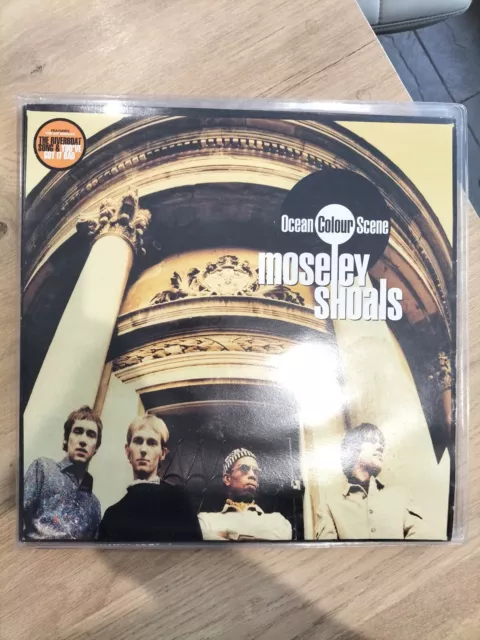 vinyl record Moseley shoals