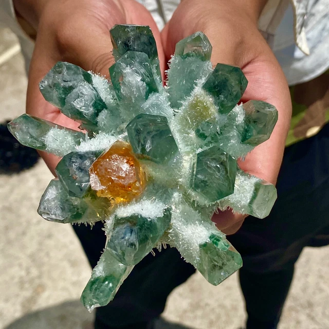 1.2LB New Find Green Phantom Quartz Crystal Cluster Mineral Specimen Healing 9