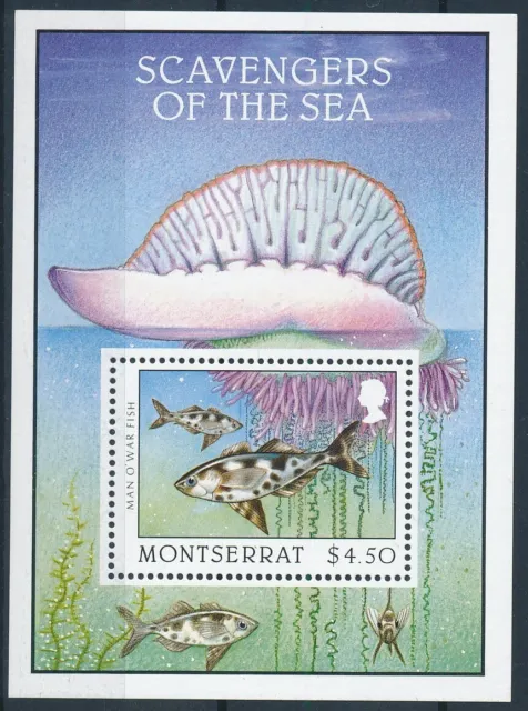 [BIN19808] Montserrat Fishes good very fine MNH sheet
