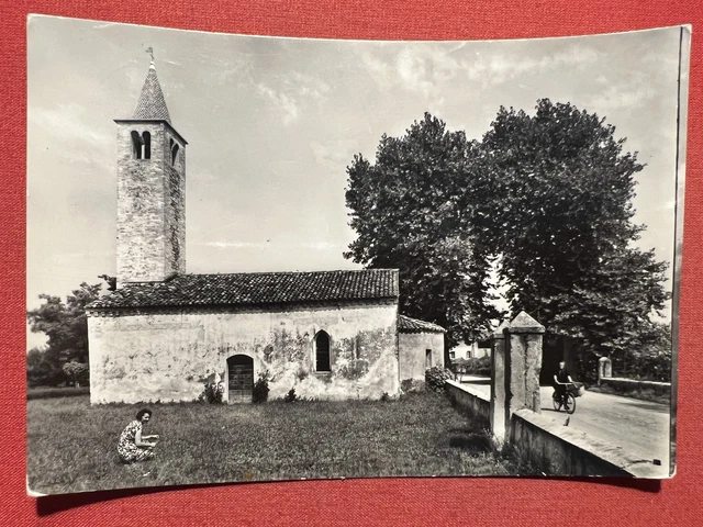 Cartolina - Pianura Padana ( Mantova ) - Panorama - 1955