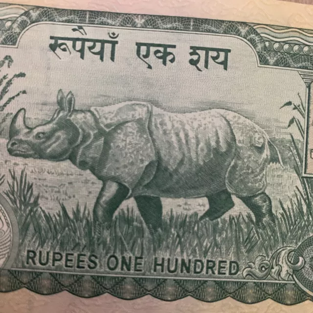 Nepal 100 Rupees Banknote 1981- XF Currency Rhino King Gyanedra Paper Money