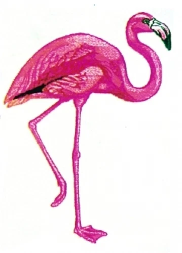 Embroidered Sweatshirt - Flamingo BT3775