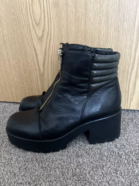 Dioon vagabond clearance