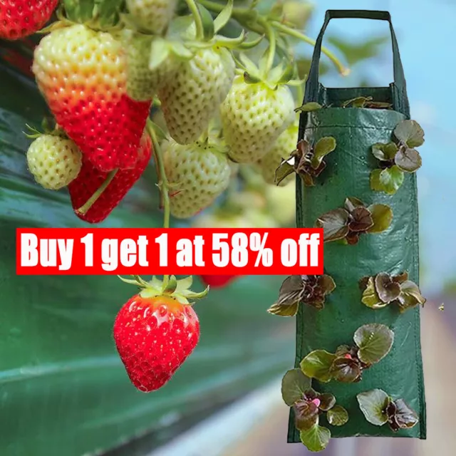 Hanging Tomato Grow Bag Upside Down Planter Strawberry Vegetable Flower Pot Tool