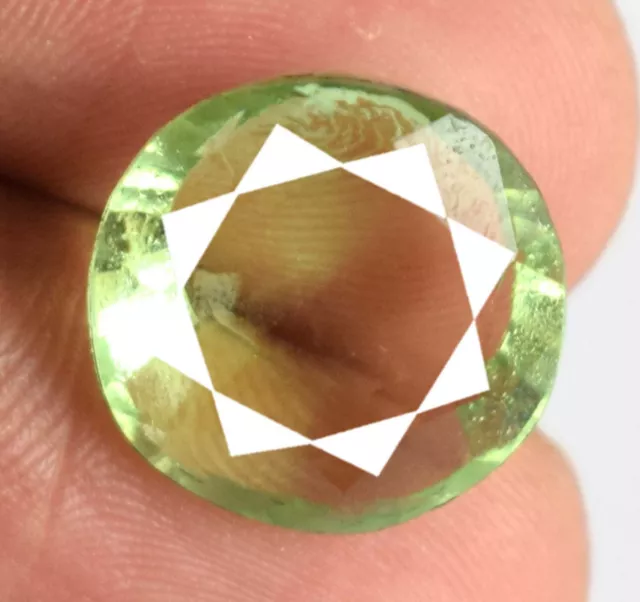 7.55 CT Natürlich Rund Grün Titanit Glänzend Edelstein Zertifiziert A73504