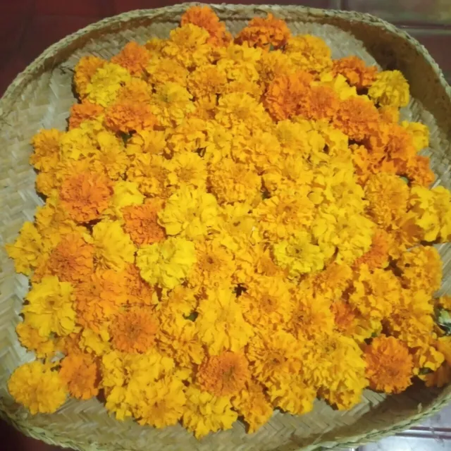 Organic Dried Calendula Marigold Yellow Flower Petals Pure Loose Herbal Tea 100%