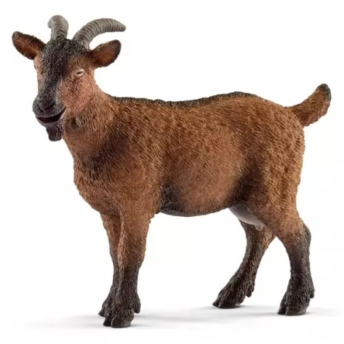 Schleich - Goat - Schleich  - (Spielwaren / Figurines)