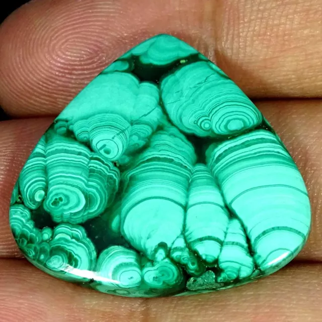 42.40 Cts Genuine African Malachite Loose Gemstone Pear Cabochon 27X30X4MM