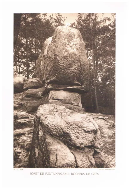 FORESTE DE FONTAINEBLEAU - ROCKS OF STONEWARE photo 1934
