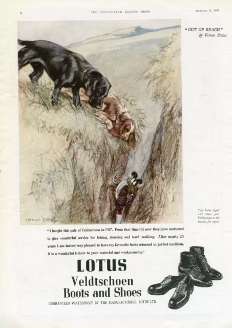 LABRADOR RETRIEVER & SPANIEL PRINT by VERNON STOKES ON 1949 LOTUS SHOE ADVERT b3